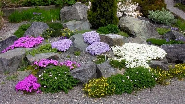 8 основных видов цветников. Как называется автор цветы на клумбе. 3